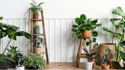 Best tall plant stands to elevate your indoor and outdoor greenery