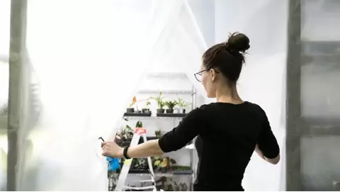 Grow Room Effectiveness