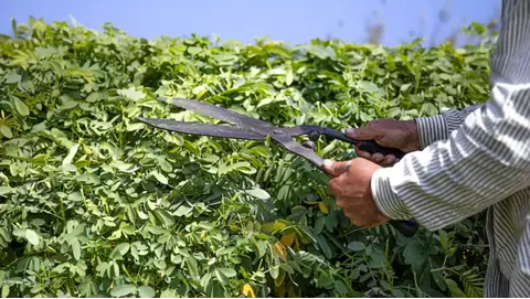 Precision Trimming Solutions