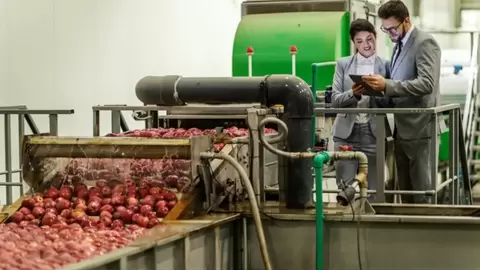 Solutions for Post-Harvest Processing