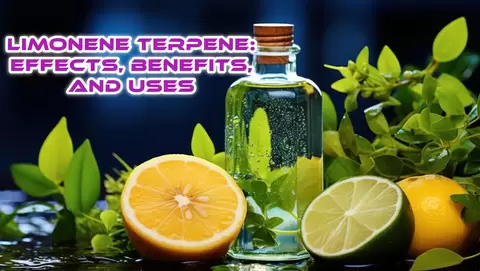 Limonene Terpene Effects