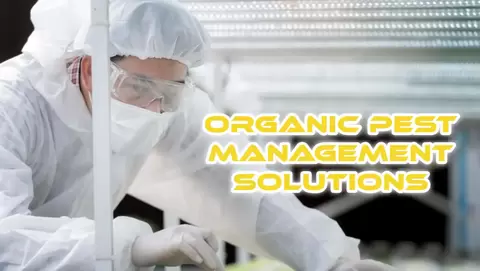 organic pest management solutions