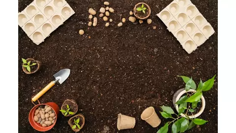 secrets to healthy garden soil