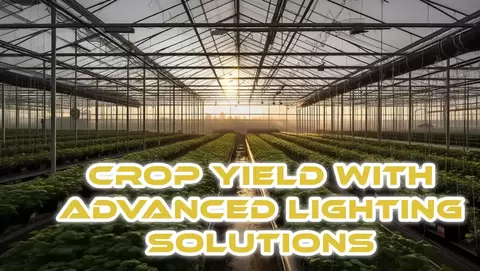 Crop Yield with Advanced Lighting Solutions