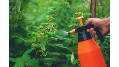 Tempo Insecticide: Fast-Acting Formula for Quick Pest Elimination