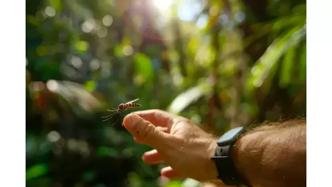 Top 10 best insect repellents for ultimate protection