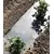 Filmorganic Black 36 Biodegradable Film 48"x5000'