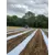 FilmOrganic Cool White 66 Biodegradable Film 48"x4000'