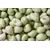 Zipper Cream Peas 25#