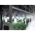 Cannabis Vertical Growing Systems for Vegetation and Flowering Rooms