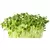 Formulated Plant Food
