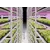 Vertical Grow Shelving for Leafy Greens and Microgreens