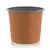 6″ Thermo Azalea Tc/Bk 854/Cs 11 Cs/Plt