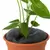 TD10 Twin Pack (For containers-10 Inches)