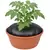 TD16 - For Containers-16 Inches