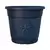 Liam Planter