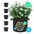 15 gallon Fabric Pot / Grow bag with handles (x5 pack) - The Protector