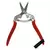 Harvest Shear - Short Curved Stainless Steel Blade