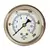 Glycerin Liquid Filled Pressure Gauge-Back Mount - 0-200 PSI