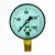 Dry Air Pressure Gauge - 160 PSI
