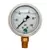 Glycerin Liquid Filled Pressure Gauge - 100 PSI