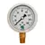 Glycerin Liquid Filled Pressure Gauge - 160 PSI