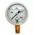 Glycerin Liquid Filled Pressure Gauge - 2000 PSI
