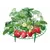 Garden Supports Fruit And Vegetable Gardening