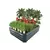 Raised Garden Bed Kit Gray