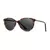 Lennox Sun Tortoise