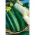 Gourds, Luffa - 1/2lb