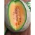 Cantaloupe , Edisto 47 - 1/2oz