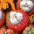 Squash, Turks Turban - 1/2lb