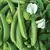 PEAS, CASCADIA 50