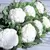 Cauliflower, Snow Crown - 10,000 Seed Count