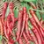 Peppers, Long Red Cayenne - 1lb