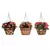 Deer Park Blk Hanging Basket Variety Pk 2 Floral Daisy Ribbon Arch