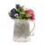 Deer Park Tall Pitcher Planter Silver White