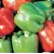 Peppers, Yolo Wonder - 1/2lb
