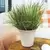 HC 7" Sedona Planter Cottage Stone