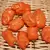 Peppers, Habanero Orange - 5,000 Seed Count