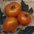 Tomato, Brandywine Yellow - 1,000 Seed Count