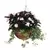 WSP 14" Rustic Rattan Hanging Basket