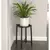 Panacea Folding 20" Single Folding Plant Stand with Metal Tray Matte Black
