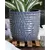 Palm Spring 9" Honey Comb Planter Dnm