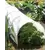 WSP 10'x1'6" Polythene Grow Tunnel