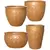 MCarr 26pc Fleur De Lis Planter Pallet Matte Honey
