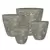 MCarr 6PC Large Rnd Pltr Plt Vol White