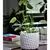 Fiesta Art 5.5" Decor Honeycomb Planter