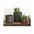 Palm Spring 7"x6.5" Cylinder with As Mcg